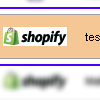Shopify Integrated Main